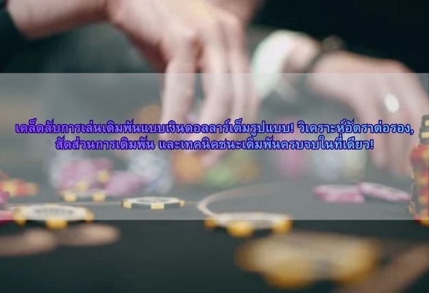 เคล็ดลับการเล่นเดิมพันแบบเงินดอลลาร์เต็มรูปแบบ! วิเคราะห์อัตราต่อรอง, สัดส่วนการเดิมพัน และเทคนิคชนะเดิมพันครบจบในที่เดียว!